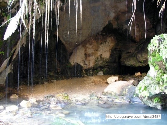 엔게디(Ein Gedi) 이미지