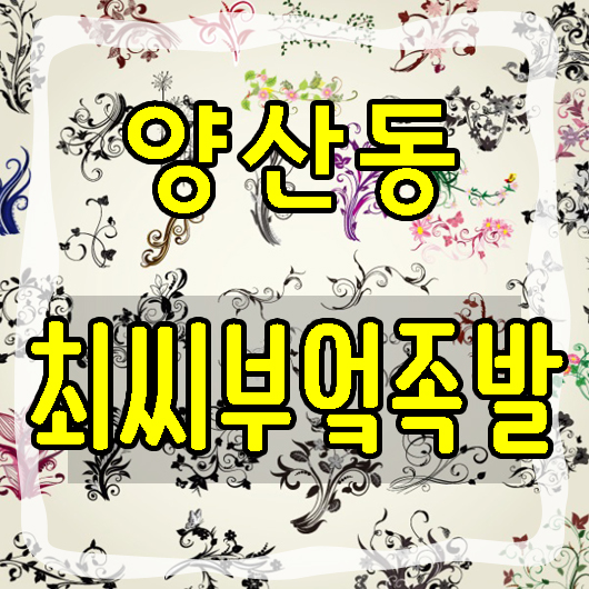 최씨부엌족발 이미지