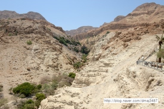 엔게디(Ein Gedi) 이미지