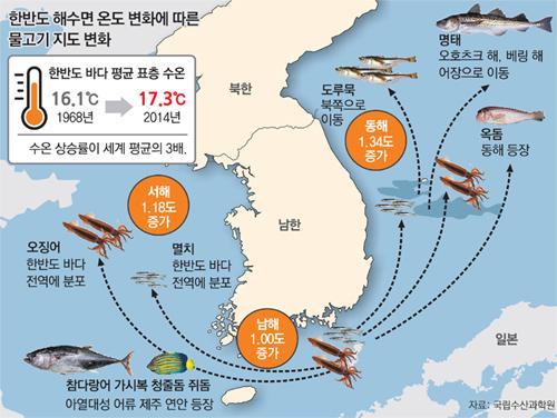 독도어장 이미지