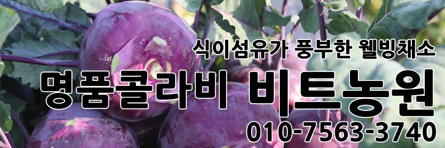 시장막회 이미지