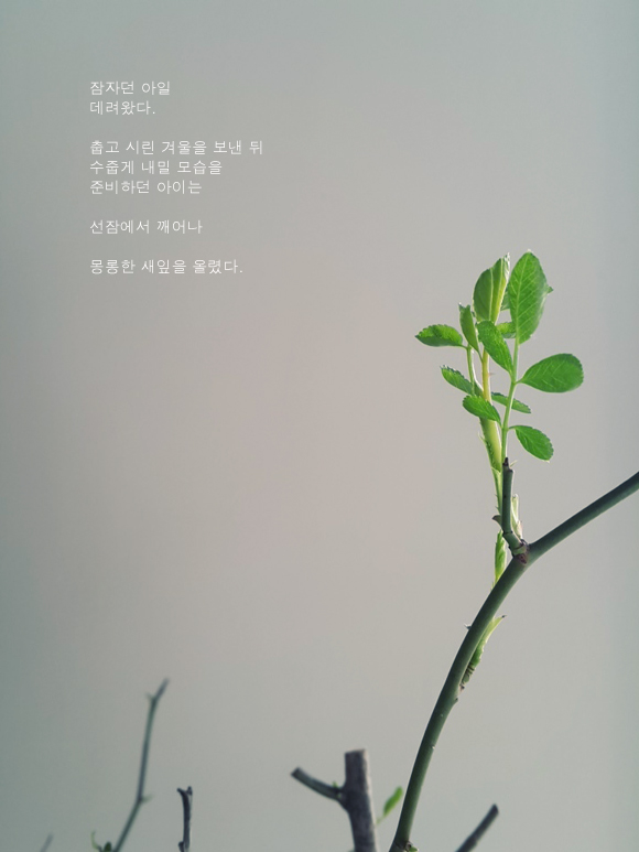 호수위의하루 이미지