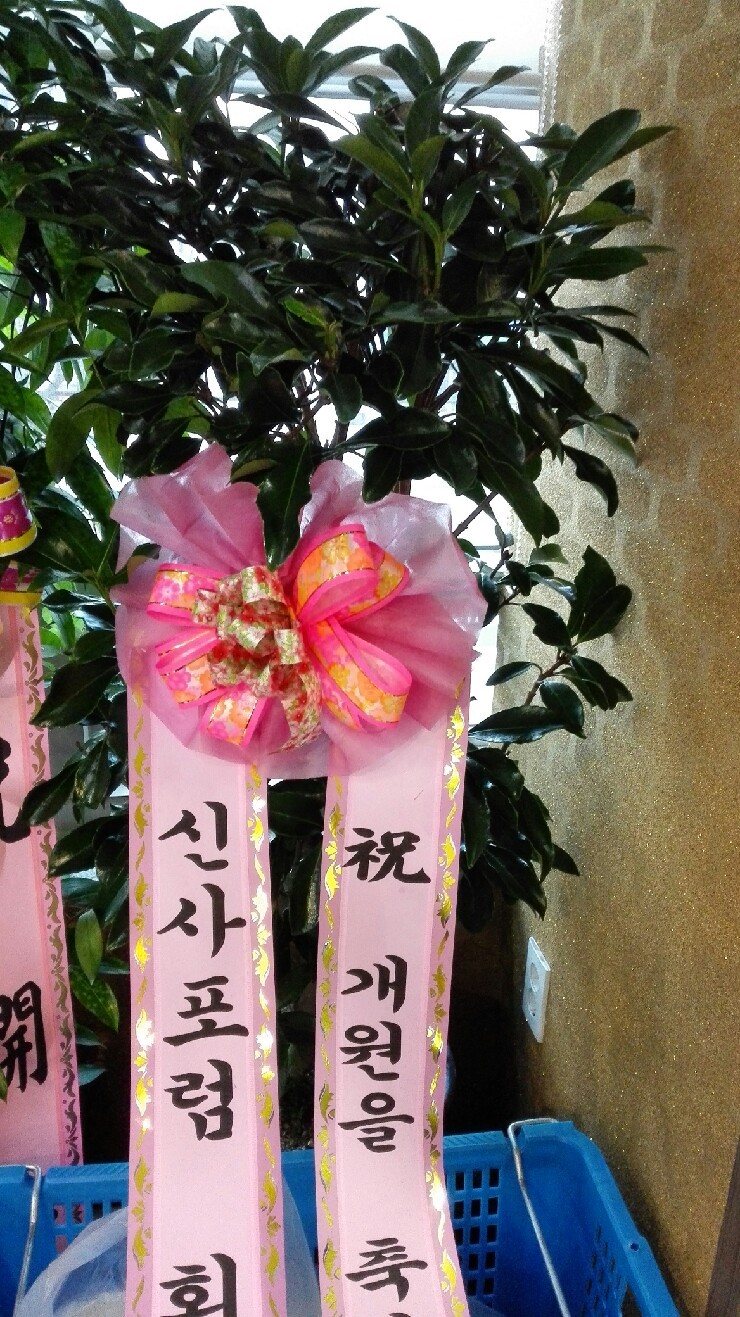 한성한방병원 이미지