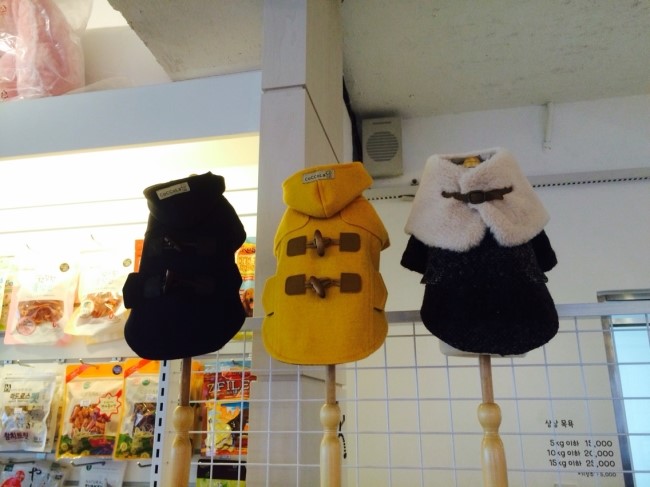 신은다방 이미지