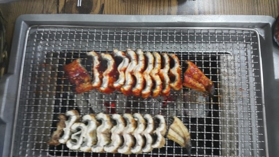 장어의힘 이미지