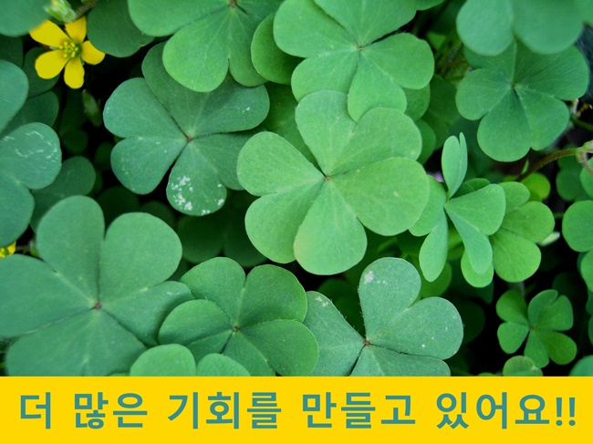 조인광고기획 이미지