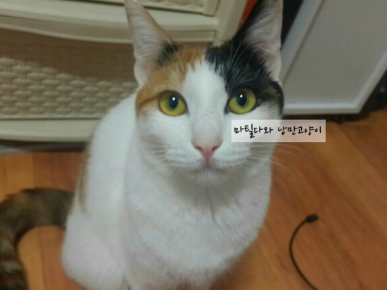 봄커뮤니케이션 이미지