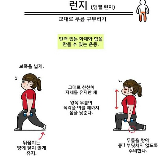 성지스포렉스 이미지