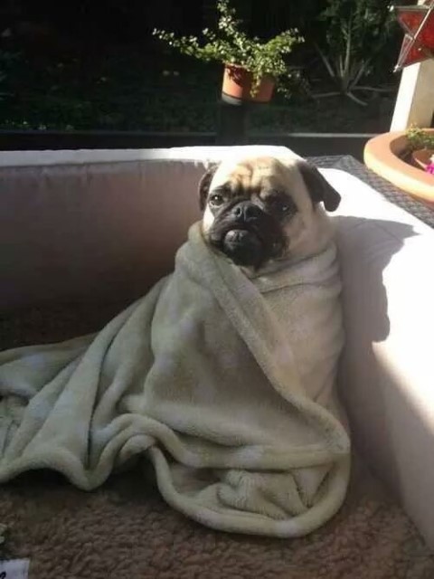 수상한언니 이미지