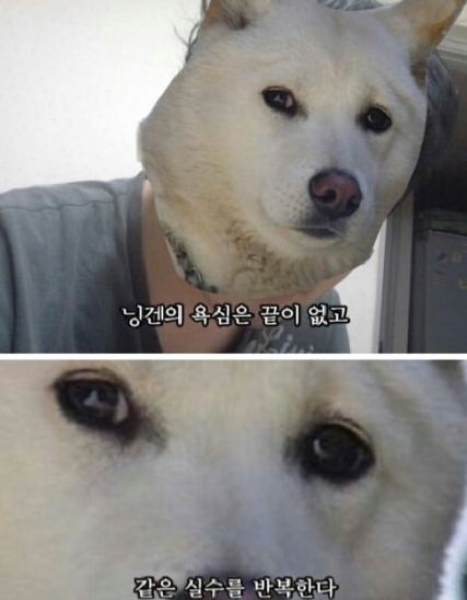 치맥한잔 이미지