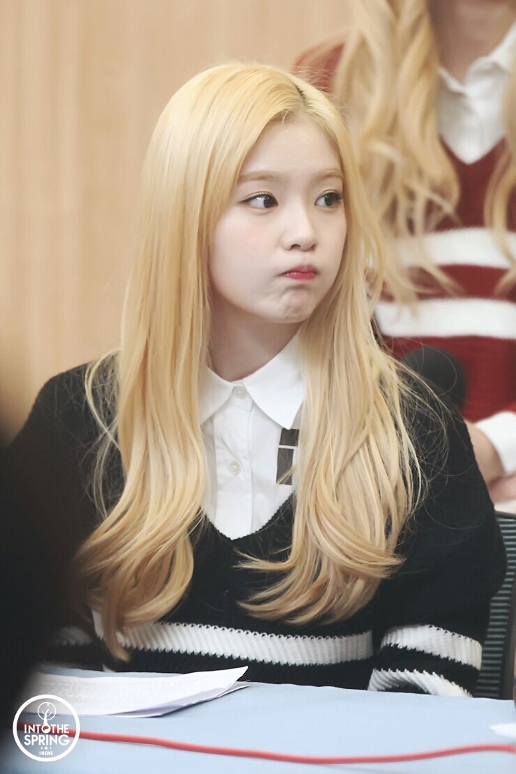코디야 이미지