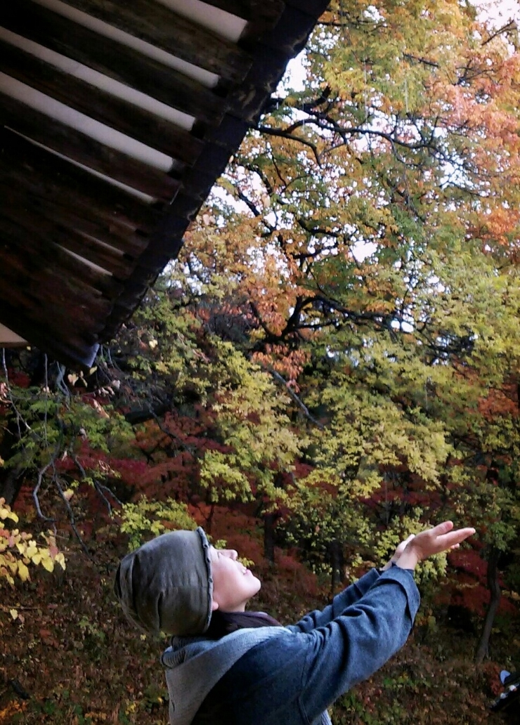 칭찬평생교육원 이미지