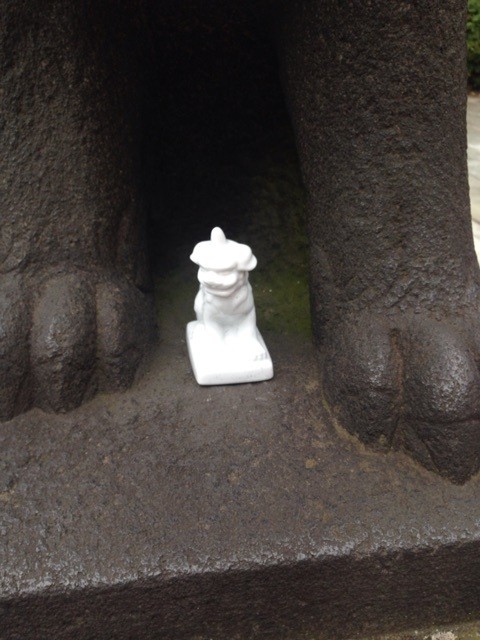 찬스복권방 이미지