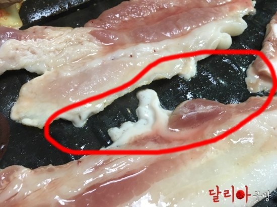 (주)팜스토리한냉 이미지