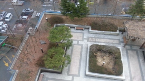 봉탁 이미지