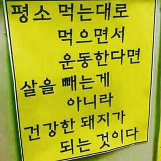 원데이피티 이미지