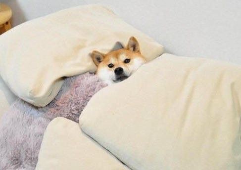 크로노스짐 이미지
