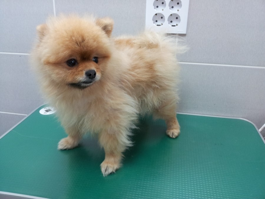미용타운 이미지