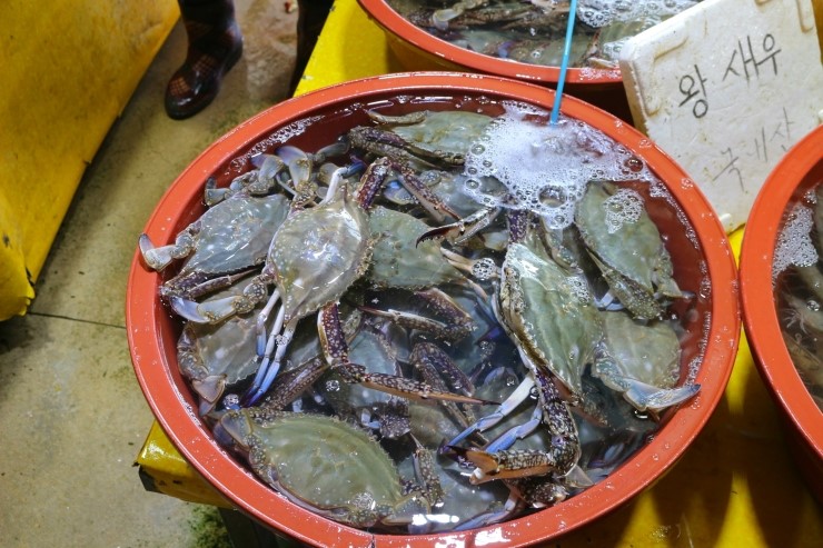 변산반도젓갈 이미지