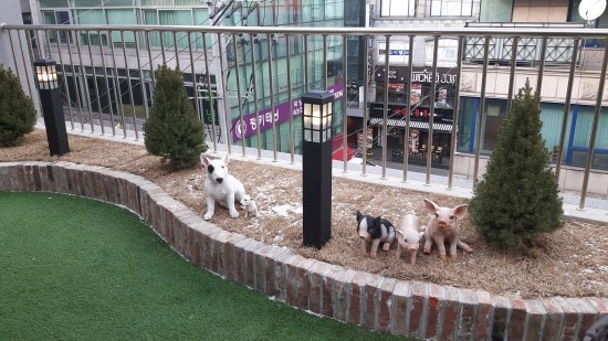 그린당구장 이미지