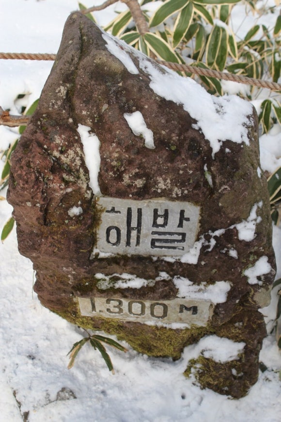 선창담배 이미지
