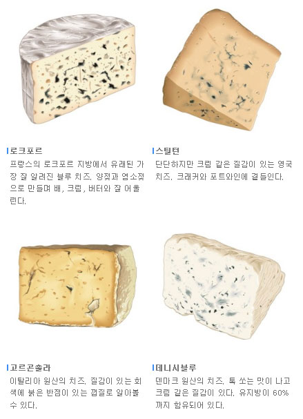 치즈의 종류 : 네이버 블로그