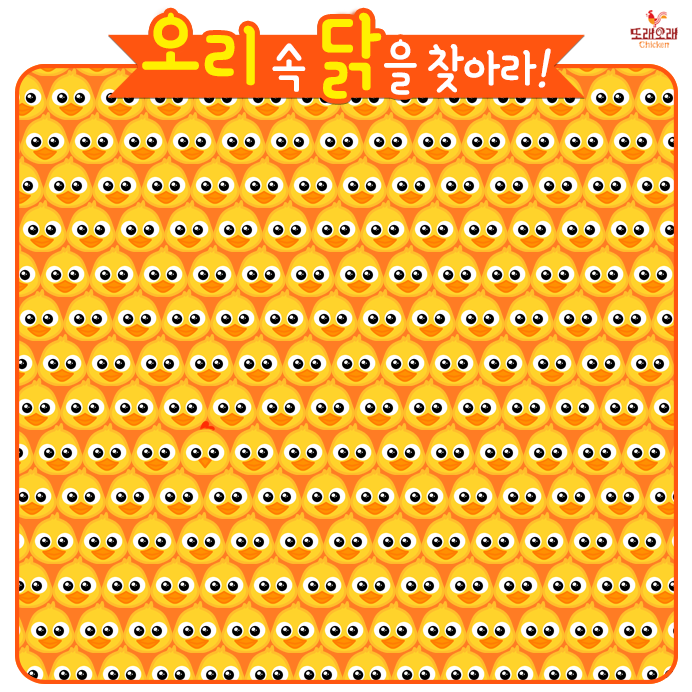 와~오리닭 이미지