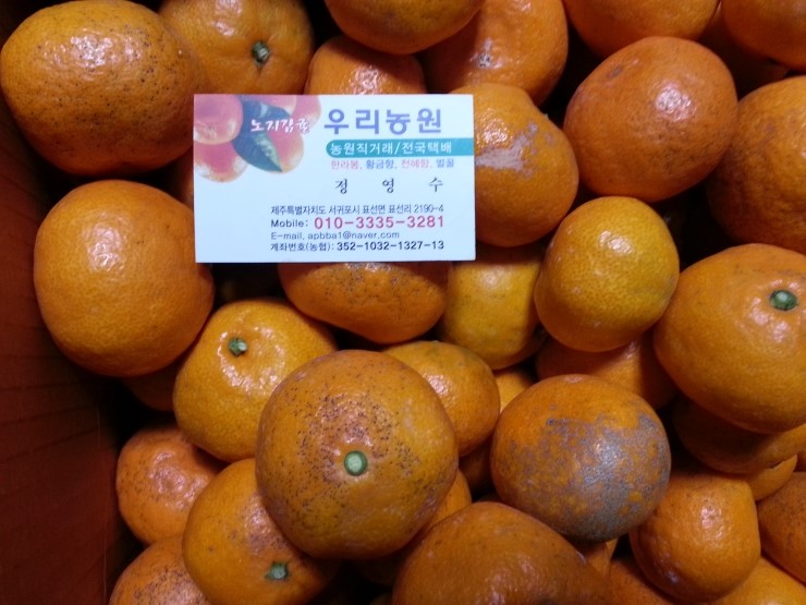 한국외발자전거 이미지