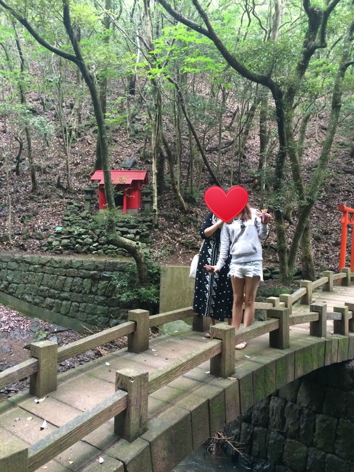 올나츠 이미지