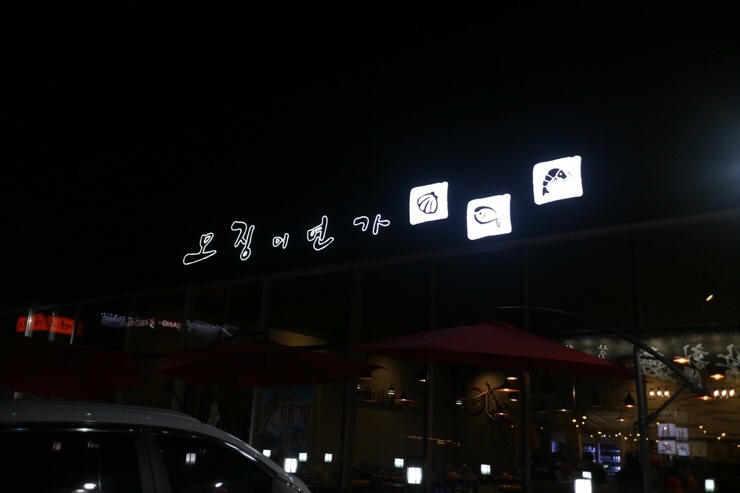 오징어연가 이미지
