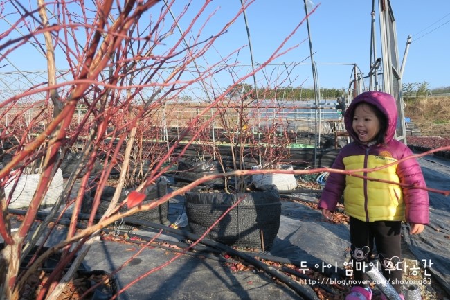 달콤농장 이미지