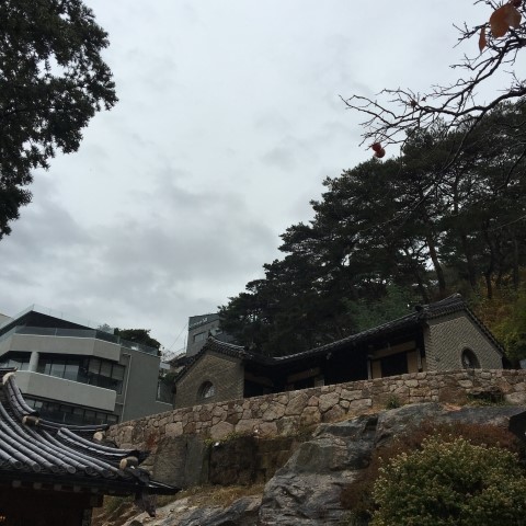 수아네일 이미지