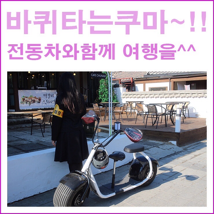 바퀴타는쿠마 이미지