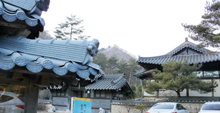 평창송어회 이미지