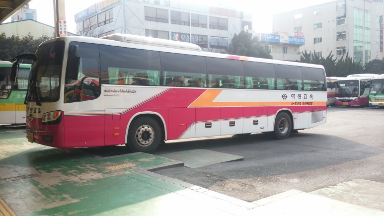 성남아성 이미지