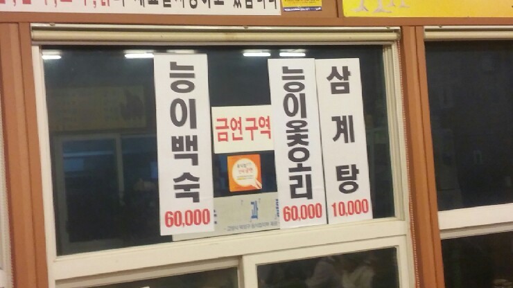기풍오리 이미지