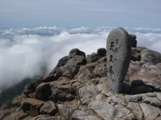 지리산큰나무 이미지