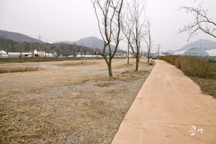 앙상블딸기농장 이미지