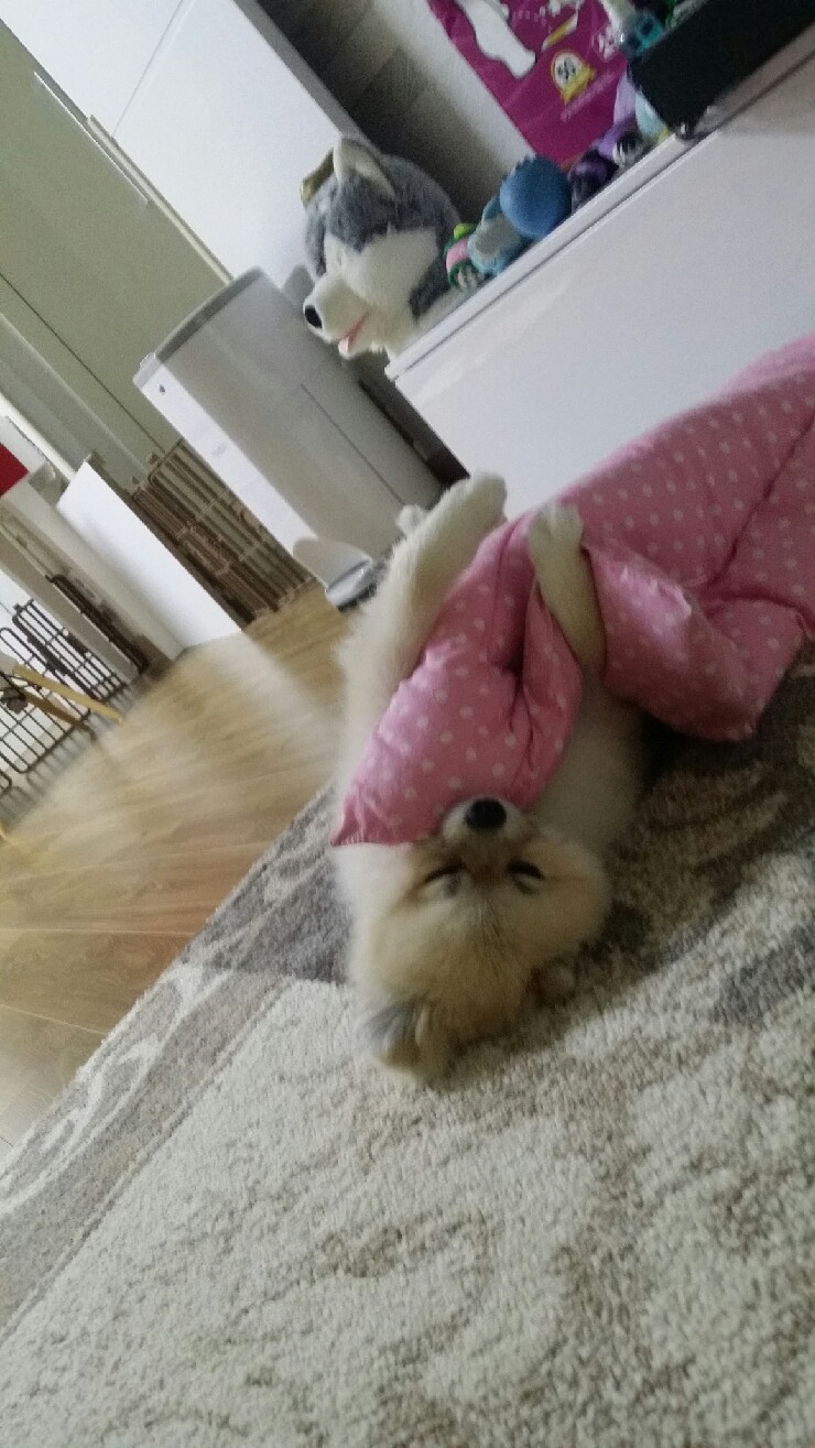 띵동 이미지