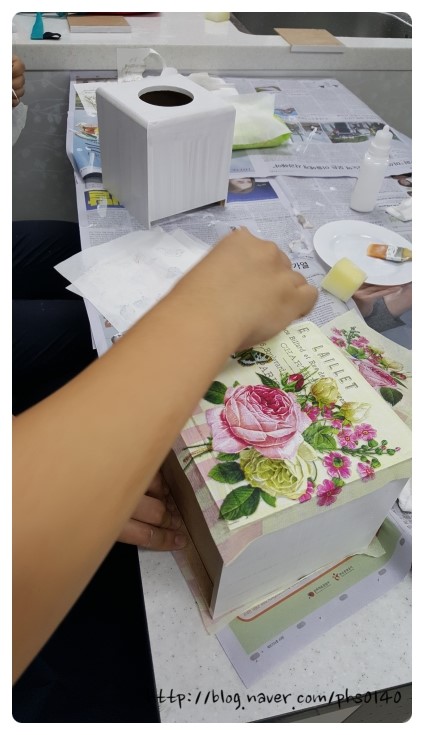 비밀의정원경북대 이미지