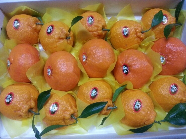 한라앤탐 이미지