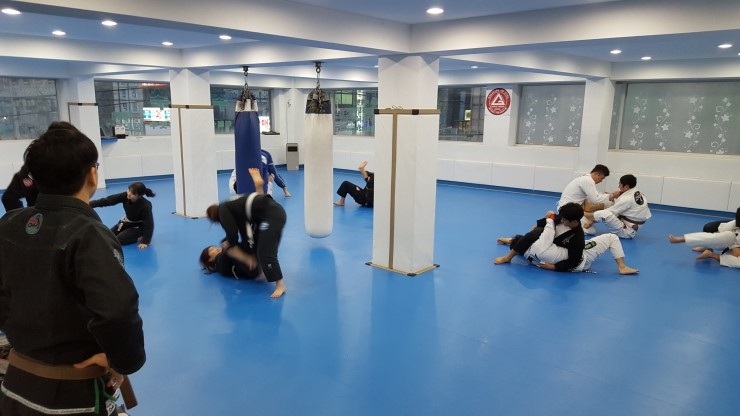 파이트짐 이미지