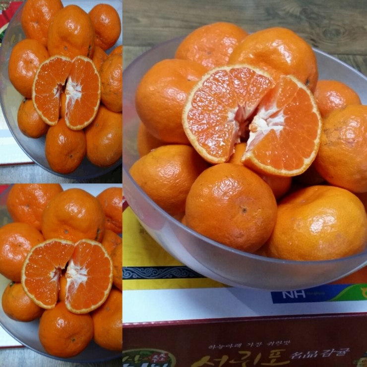 영희네감귤농장 이미지