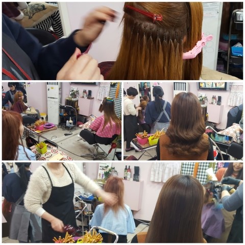 대경붙임머리 이미지