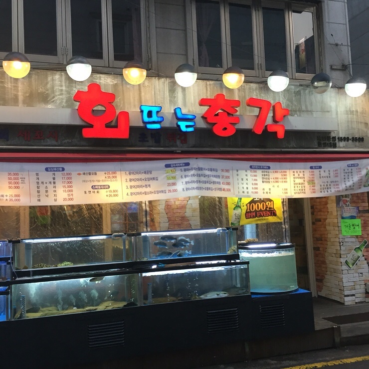 총각갈매기 이미지