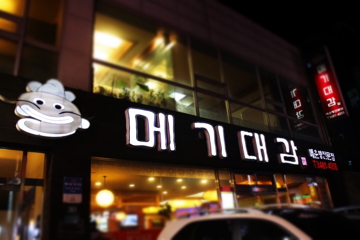 메기대감 이미지