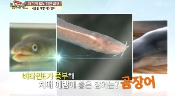 통영장어 이미지