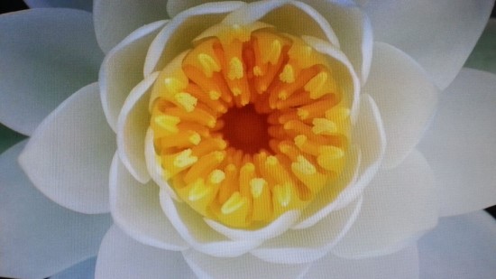 이가장 이미지