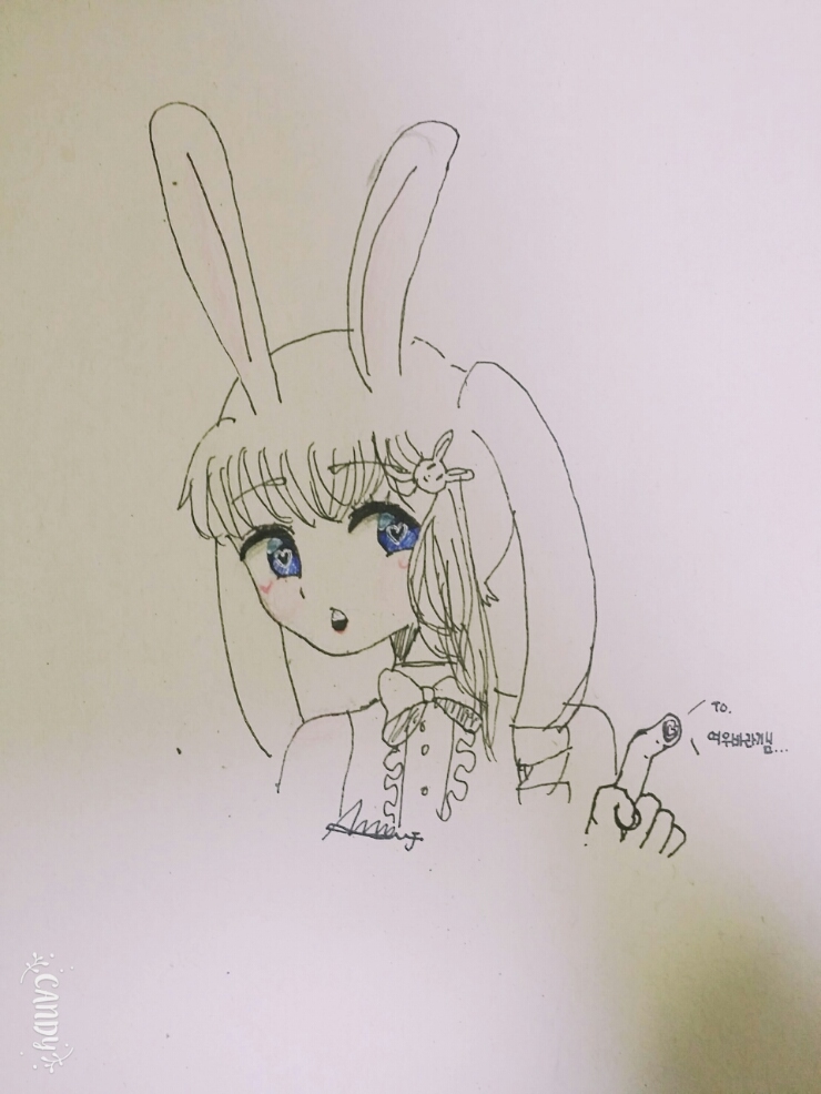 여우바라기 이미지