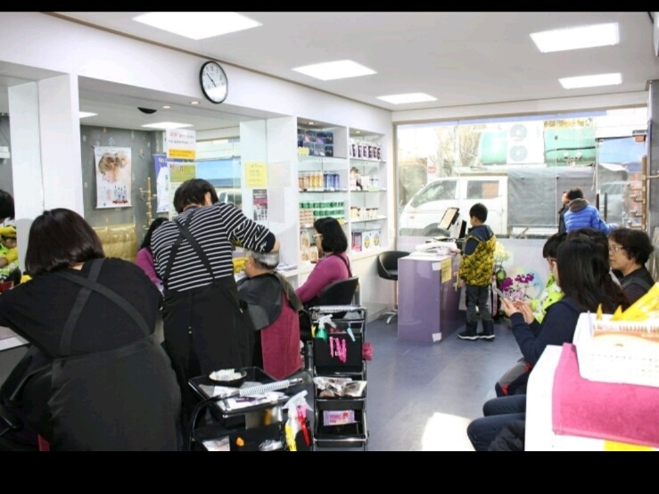 구피염색방 이미지